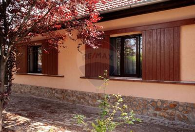 Casa cu 2 corpuri, piscina si 3.235 mp teren in Ghioroc - 34