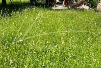 Teren intravilan cu casa- 1740 mp. in Provita de Sus-PH - 30