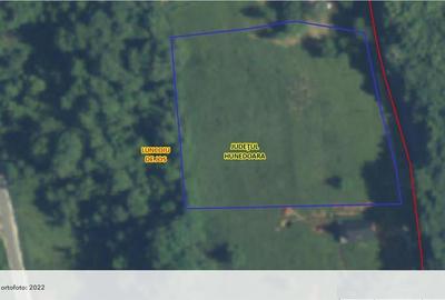 Teren intravilan de vanzare  in Luncoiu de Jos, sat Luncoiu de Sus, 3000 mp - 8