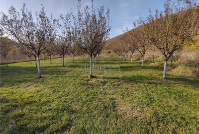 Teren de 1445 mp, în Slatina-Nera - 2