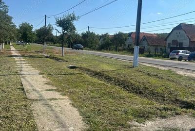 Casă cu 4 camere în Tauț - 4