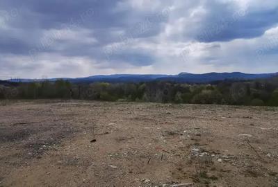 Teren de 26500 mp, în Calea Caransebeșului - 2