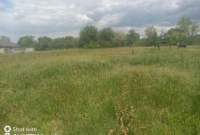 Teren de 1500 mp, în Petrăchioaia - 1