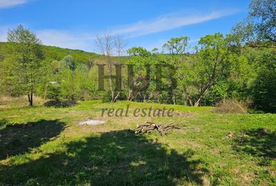 Teren intravilan | langa padure si parau | Luncani/Bacau - 5