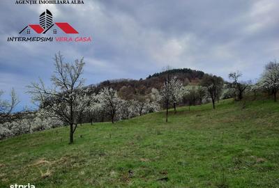 Teren de 1500 mp, în Vințu de Jos - 1