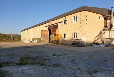 Hala industriala Dej cu platforma betonata curent trifazi