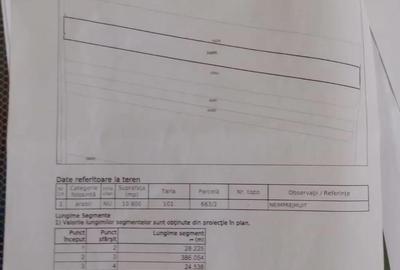 Teren de 10800 mp, în Tămășeu - 3