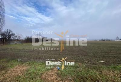 Teren în Doina