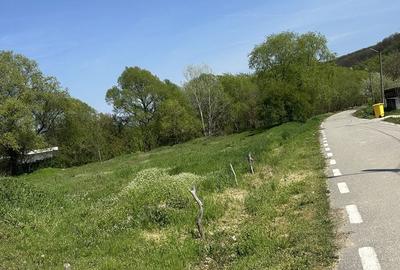 Spațiu comercial, în Leamna de Sus - 6