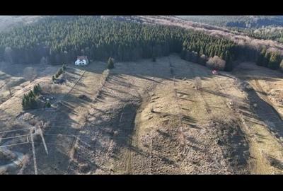 Teren intravilan la baza pădurii Valea Doftanei sat Traisteni (poduri) - 14