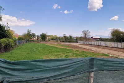 Teren Intravilan 2440 Stupini - 3