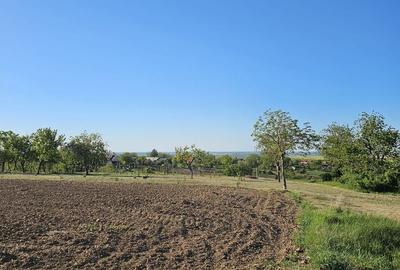 Teren agricol intravilan de 5000 mp, în Cetariu - 2