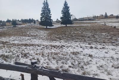 Vand teren intravilan muntele rece - 2