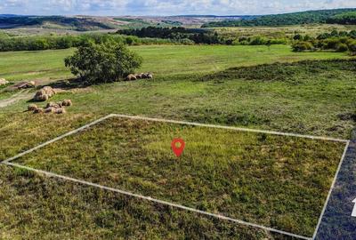 Teren intravilan de vanzare - 902 mp, Paleu, Bihor | PUZ aprobat - 6