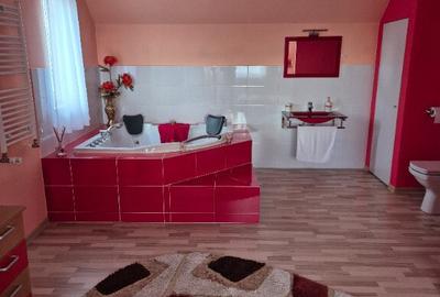Casa in Sfantu Ilie utilata si mobilata - 13