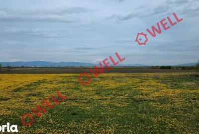 Teren de 429 mp, în Bod - 7