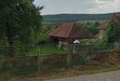 Vand casa la ?ara, teren ?i anexe, com Tureni, sat Mice?ti, jud Cluj - 3