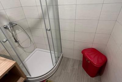 Apartament cu 2 camere, mobilat în Copou - 12