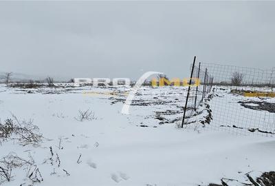 Teren 600mp. curs constructii, Utilitati, Palazu Mare, str.Spicului - 3