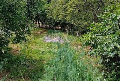 Casă cu 4 camere în Dobrogostea - 6