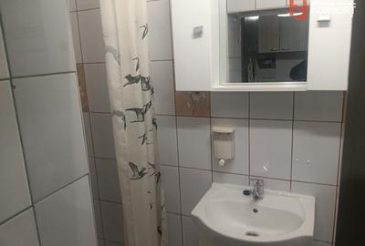 Apartament cu o camera de vanzare in Timisoara, zona Complexul Studentesc - 5