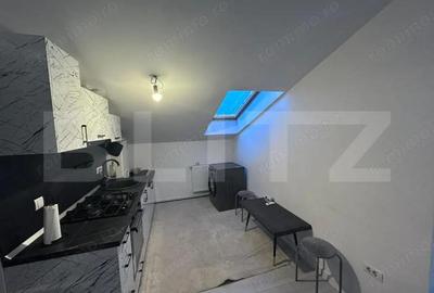 Studio 40mp, Zona Coloanei Infinitului - 2