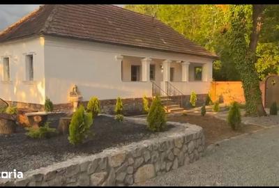 Casă cu 3 camere cu Teren 2000 Mp în Băcia - 4