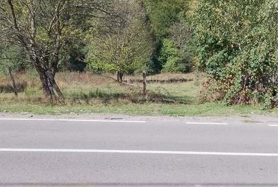 Spațiu comercial, în Central - 3