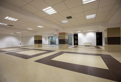 Imobil premium in centrul Bacaului - imagine si vizibilitate - 6