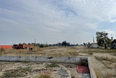 Ovidiu 6 ha teren intravilan construibil îngrădit și platforma betonata. - 10