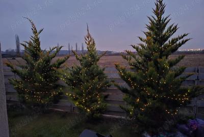 Casă cu 4 camere cu Teren 325 Mp în Dârza - 1