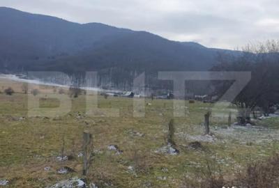 Teren de 5200 mp, în Central