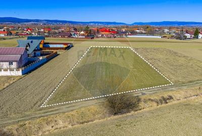 Teren agricol extravilan de 3700 mp, în Lunca Calnicului - 9