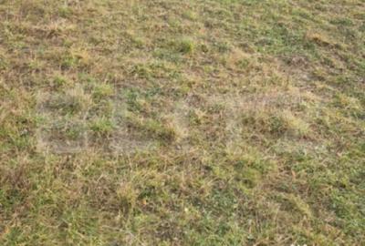 Teren de 500 mp, în Sânpetru