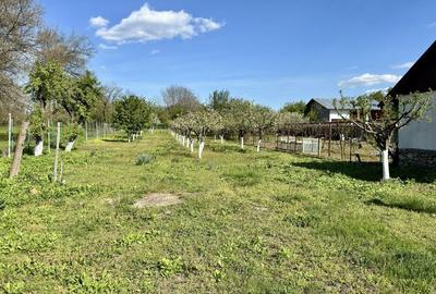 Casă cu 2 camere în Alexeni - 8