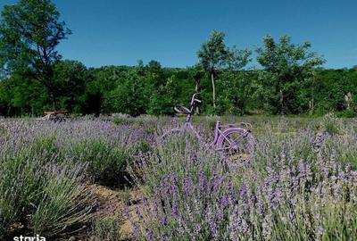 Casă cu 4 camere semidecomandat cu Teren 119 Mp în Iedera - 1