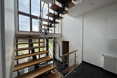 Birou, de 350 mp, în Europa - 5