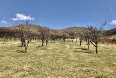 Vanzare teren intravilan- livezi - 4