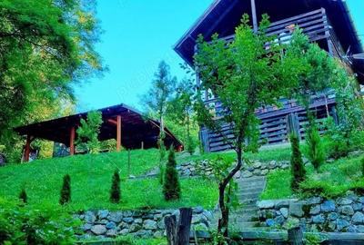 Vand Cabana cu ciubar (Fenes jud Alba) - 5