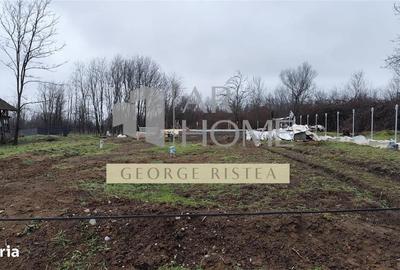 Teren de 590 mp, în Central - 5