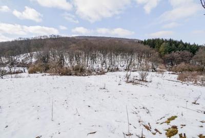 Teren intravilan pentru constructii de vanzare in Faget, Cluj Napoca - 5