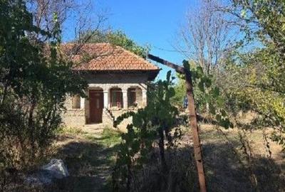Casă cu 2 camere cu Teren 1703 Mp în Odobești - 1