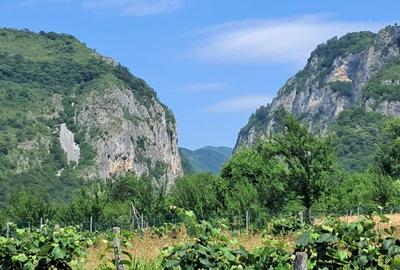 TEREN INTRAVILAN POLOVRAGI - 6