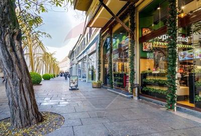 Spatiu comercial premium, 3 niveluri, Str. Universitatii, Cluj-Napoca - 3