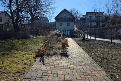 Casă cu Teren 1650 Mp în Făget - 2