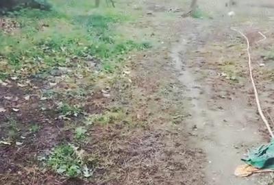 Proprietar vand casa 2 cam. Totoi, Alba Iulia - 4