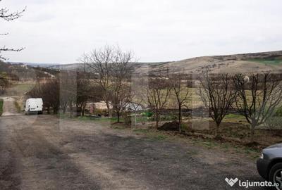 Teren în Borhanci - 5