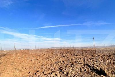 Teren intravilan, 7500 mp, zona Simnicul de sus - 2