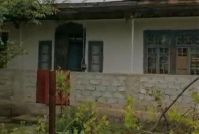 Casă cu 4 camere în Perii Broșteni - 4