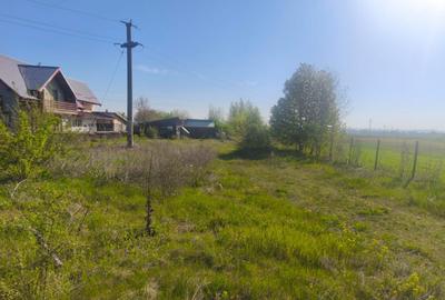 Teren de 2500 mp, în Rădăuți - 12